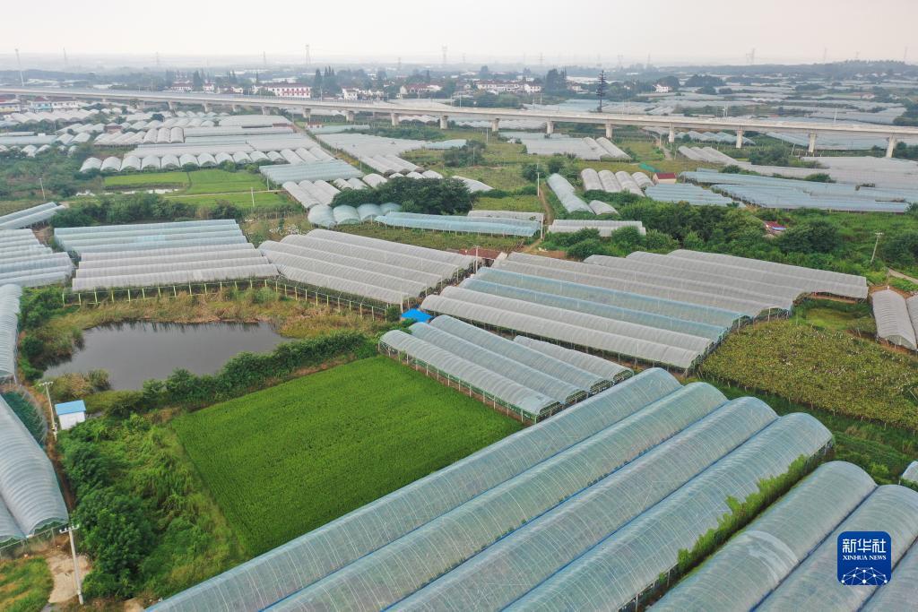 新开网页足球游戏
